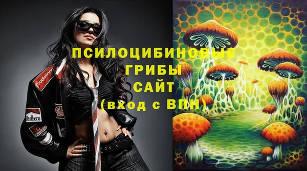 хмурый Алзамай