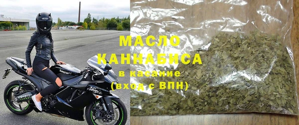 хмурый Алзамай