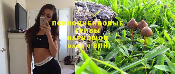 хмурый Алзамай